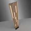 Q-Akustik Lampadaire Luminaires Paul Neuhaus LED Brun, Noir, 1 lumière, Télécommandes