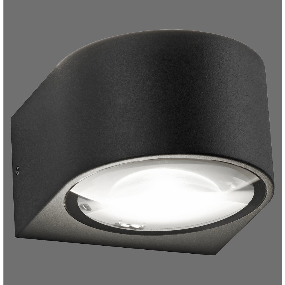 Carla Applique murale Luminaires Paul Neuhaus LED Anthracite, 2 lumières main product photo