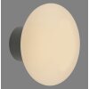 Olaf Applique murale / Plafonnier Luminaires Paul Neuhaus LED Gris, 1 lumière