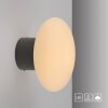 Olaf Applique murale / Plafonnier Luminaires Paul Neuhaus LED Gris, 1 lumière