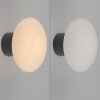 Olaf Applique murale / Plafonnier Luminaires Paul Neuhaus LED Gris, 1 lumière