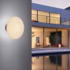 Olaf Applique murale / Plafonnier Luminaires Paul Neuhaus LED Gris, 1 lumière
