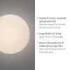 Olaf Applique murale / Plafonnier Luminaires Paul Neuhaus LED Gris, 1 lumière