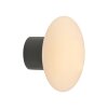 Olaf Applique murale / Plafonnier Luminaires Paul Neuhaus LED Gris, 1 lumière