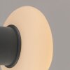 Olaf Applique murale / Plafonnier Luminaires Paul Neuhaus LED Gris, 1 lumière