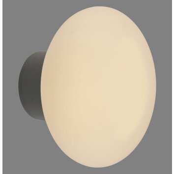 Olaf Applique murale / Plafonnier Luminaires Paul Neuhaus LED Gris, 1 lumière