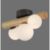 Popsicle Applique murale / Plafonnier Luminaires Paul Neuhaus LED Brun, Noir, 3 lumières