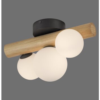 Popsicle Applique murale / Plafonnier Luminaires Paul Neuhaus LED Brun, Noir, 3 lumières Popsicle Applique murale / Plafonnier Luminaires Paul Neuhaus LED Brun, Noir, 3 lumières
