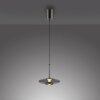 Vitrum Suspension Luminaires Paul Neuhaus LED Gris, 2 lumières