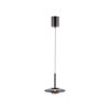 Vitrum Suspension Luminaires Paul Neuhaus LED Gris, 2 lumières