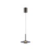 Vitrum Suspension Luminaires Paul Neuhaus LED Gris, 2 lumières