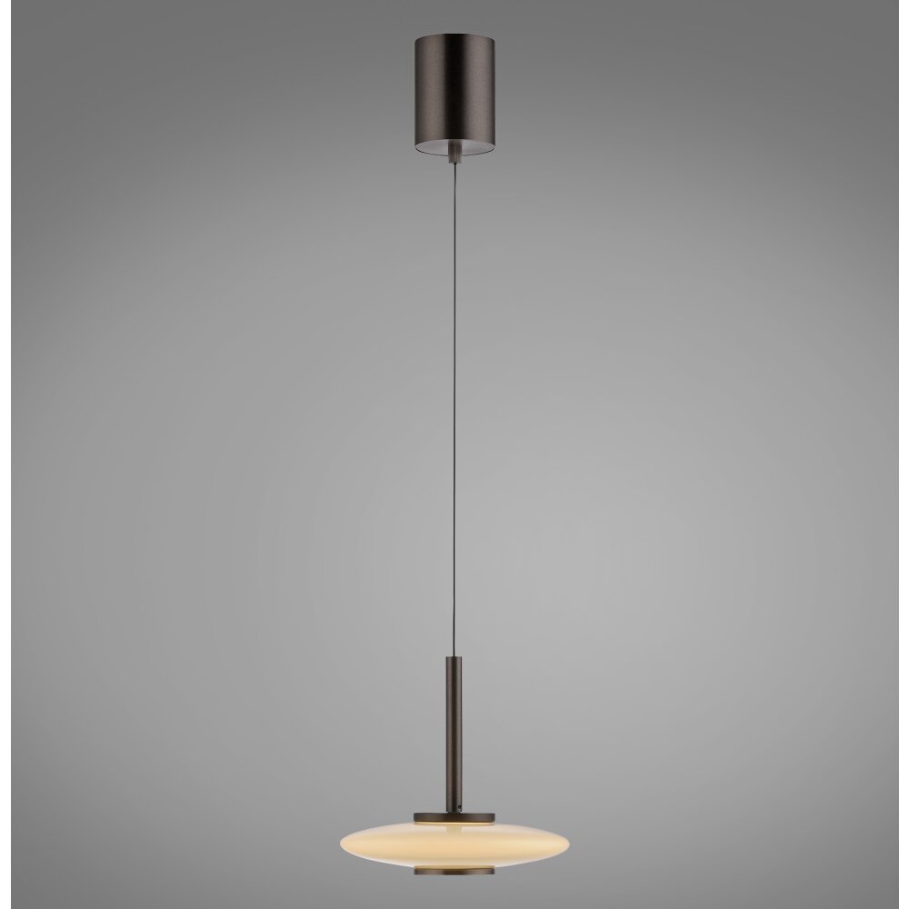Vitrum Suspension Luminaires Paul Neuhaus LED Brun, 2 lumières main product photo