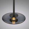 Vitrum Suspension Luminaires Paul Neuhaus LED Gris, 6 lumières