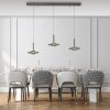 Vitrum Suspension Luminaires Paul Neuhaus LED Gris, 6 lumières