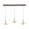 Vitrum Suspension Luminaires Paul Neuhaus LED Brun, 6 lumières