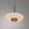 Vitrum Suspension Luminaires Paul Neuhaus LED Brun, 6 lumières