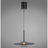 E-Vitrum Suspension Luminaires Paul Neuhaus LED Gris, 2 lumières, Télécommandes