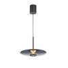 E-Vitrum Suspension Luminaires Paul Neuhaus LED Gris, 2 lumières, Télécommandes