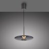 E-Vitrum Suspension Luminaires Paul Neuhaus LED Gris, 2 lumières, Télécommandes
