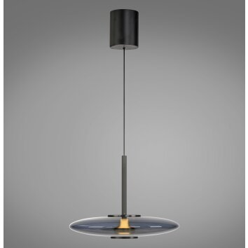 E-Vitrum Suspension Luminaires Paul Neuhaus LED Gris, 2 lumières, Télécommandes