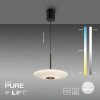 E-Vitrum Suspension Luminaires Paul Neuhaus LED Brun, 2 lumières, Télécommandes