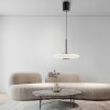 E-Vitrum Suspension Luminaires Paul Neuhaus LED Brun, 2 lumières, Télécommandes
