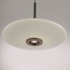 E-Vitrum Suspension Luminaires Paul Neuhaus LED Brun, 2 lumières, Télécommandes