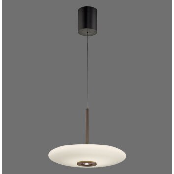 E-Vitrum Suspension Luminaires Paul Neuhaus LED Brun, 2 lumières, Télécommandes