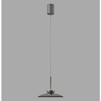 Moon Suspension Luminaires Paul Neuhaus LED Gris, 2 lumières