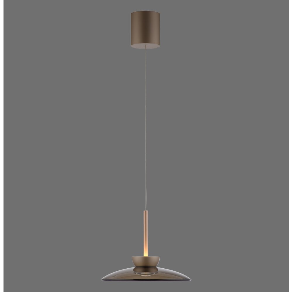 Moon Suspension Luminaires Paul Neuhaus LED Bronze, 2 lumières main product photo