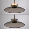 Moon Suspension Luminaires Paul Neuhaus LED Bronze, 2 lumières