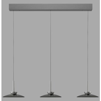 Moon Suspension Luminaires Paul Neuhaus LED Gris, 6 lumières