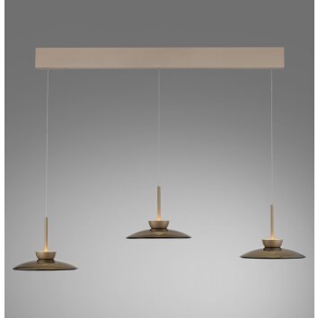 Moon Suspension Luminaires Paul Neuhaus LED Bronze, 6 lumières