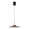 E-Moon Suspension Luminaires Paul Neuhaus LED Bronze, 2 lumières, Télécommandes
