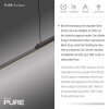 Surface Suspension Luminaires Paul Neuhaus LED Gris, 1 lumière