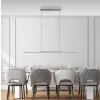 Surface Suspension Luminaires Paul Neuhaus LED Gris, 1 lumière