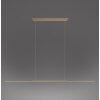 Surface Suspension Luminaires Paul Neuhaus LED Bronze, 1 lumière