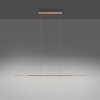 Surface Suspension Luminaires Paul Neuhaus LED Bronze, 1 lumière