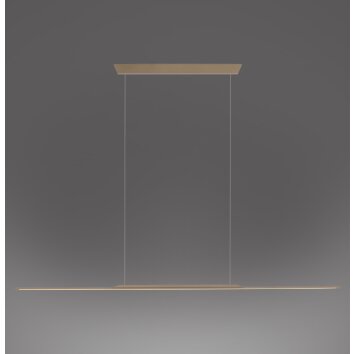 Surface Suspension Luminaires Paul Neuhaus LED Bronze, 1 lumière