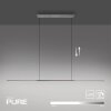 Surface Suspension Luminaires Paul Neuhaus LED Gris, 1 lumière
