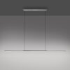 Surface Suspension Luminaires Paul Neuhaus LED Gris, 1 lumière