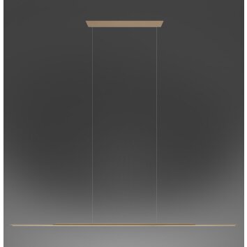 Surface Suspension Luminaires Paul Neuhaus LED Bronze, 1 lumière