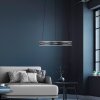 E-Loop Suspension Luminaires Paul Neuhaus LED Gris, 2 lumières, Télécommandes