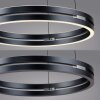 E-Loop Suspension Luminaires Paul Neuhaus LED Gris, 2 lumières, Télécommandes