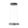 E-Loop Suspension Luminaires Paul Neuhaus LED Gris, 2 lumières, Télécommandes