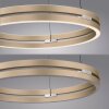 E-Loop Suspension Luminaires Paul Neuhaus LED Laiton, 2 lumières, Télécommandes