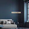 E-Loop Suspension Luminaires Paul Neuhaus LED Laiton, 2 lumières, Télécommandes