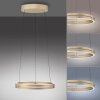 E-Loop Suspension Luminaires Paul Neuhaus LED Laiton, 2 lumières, Télécommandes