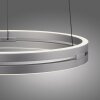 E-Loop Suspension Luminaires Paul Neuhaus LED Argenté, 2 lumières, Télécommandes