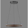 E-Loop Suspension Luminaires Paul Neuhaus LED Noir, 2 lumières, Télécommandes